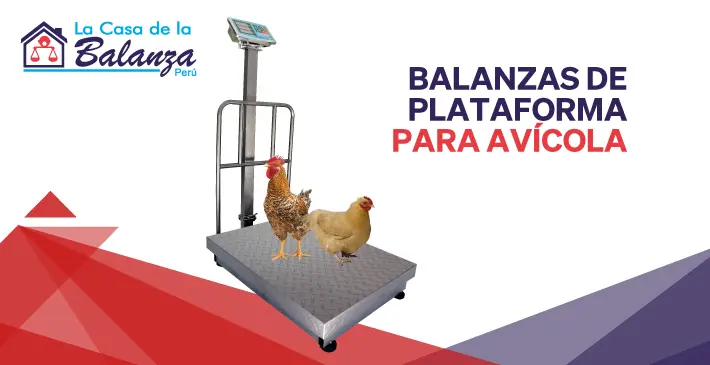 Balanzas de Plataforma para Avícolas
