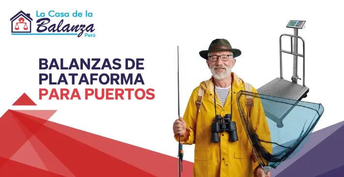 Balanzas de Plataforma para Puertos