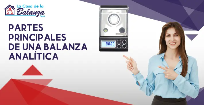 Partes principales de una balanza analitica