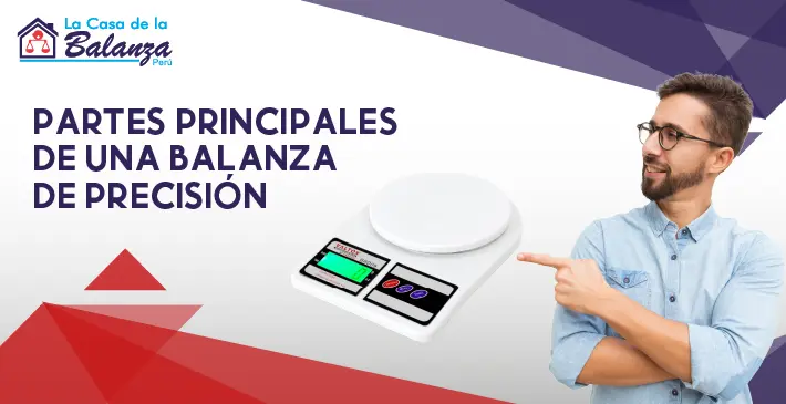 Partes principales de una balanza de precisión