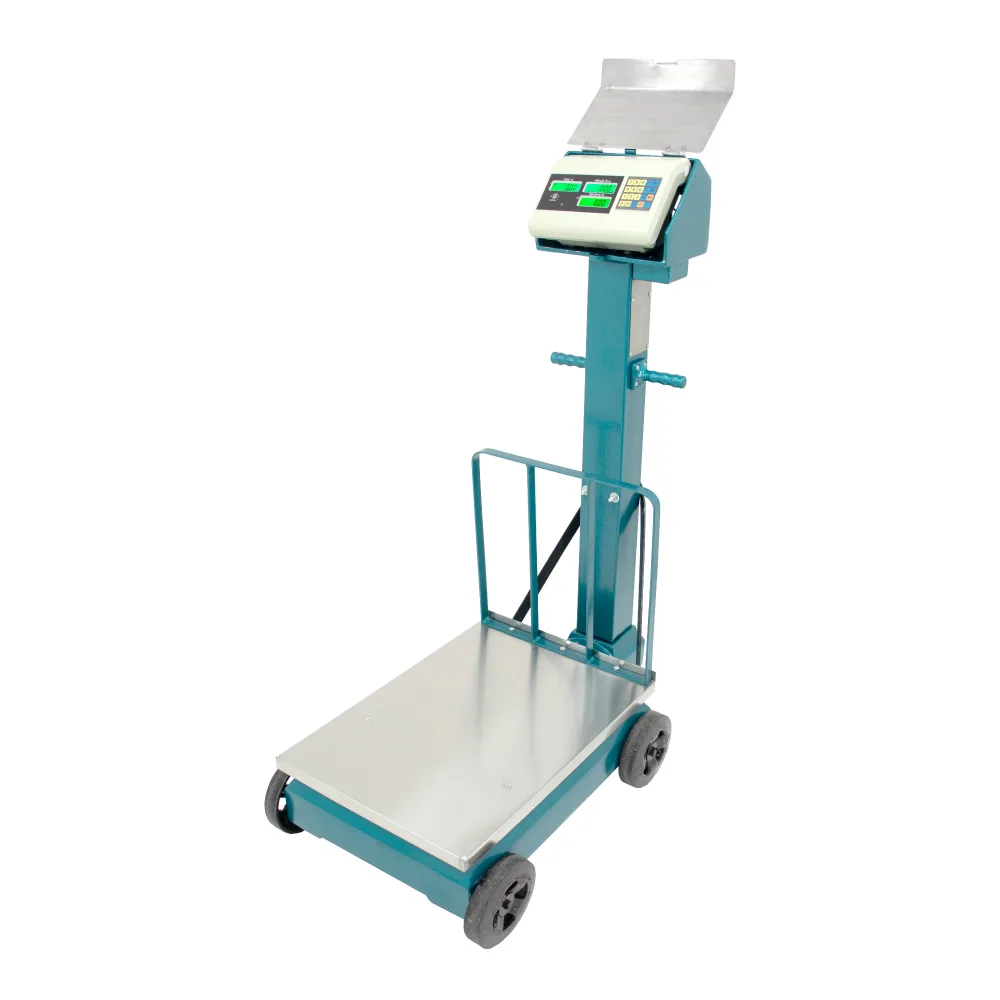 Balanza Electromecánica Excell AP4-A de 500 Kilos