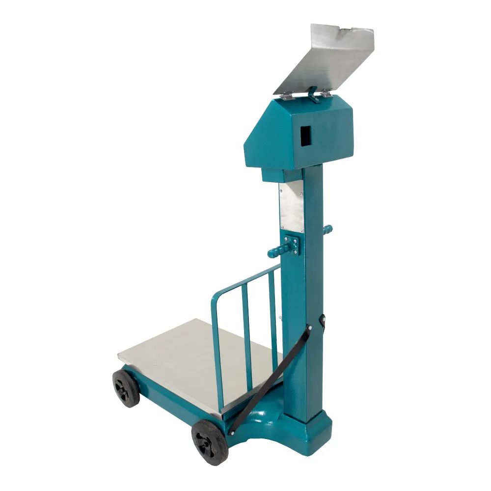 Balanza Electromecánica e-Accura SB53-A de 500 Kilos