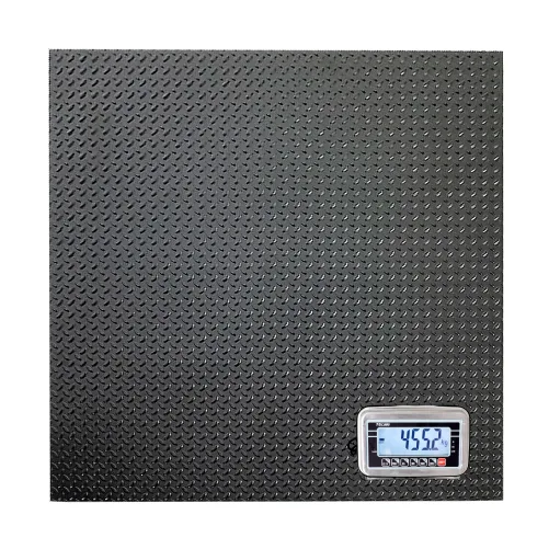 Balanza Tipo Rampa T-Scale BWS de 500 Kilos