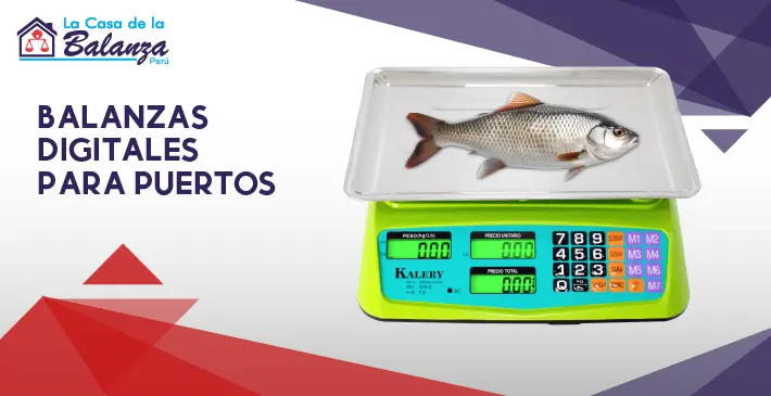 Balanzas digitales para puertos
