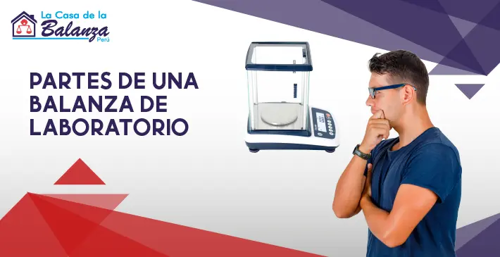 Partes de una Balanza de laboratorio